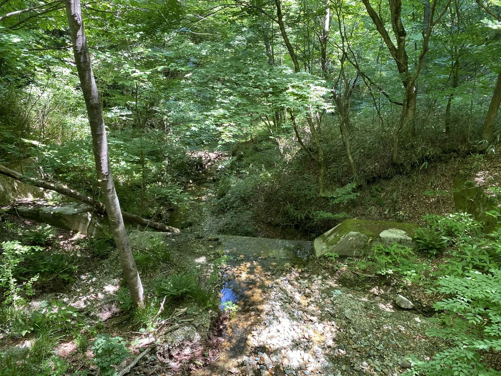 木々の間を抜ける沢と、コンクリートの構造物