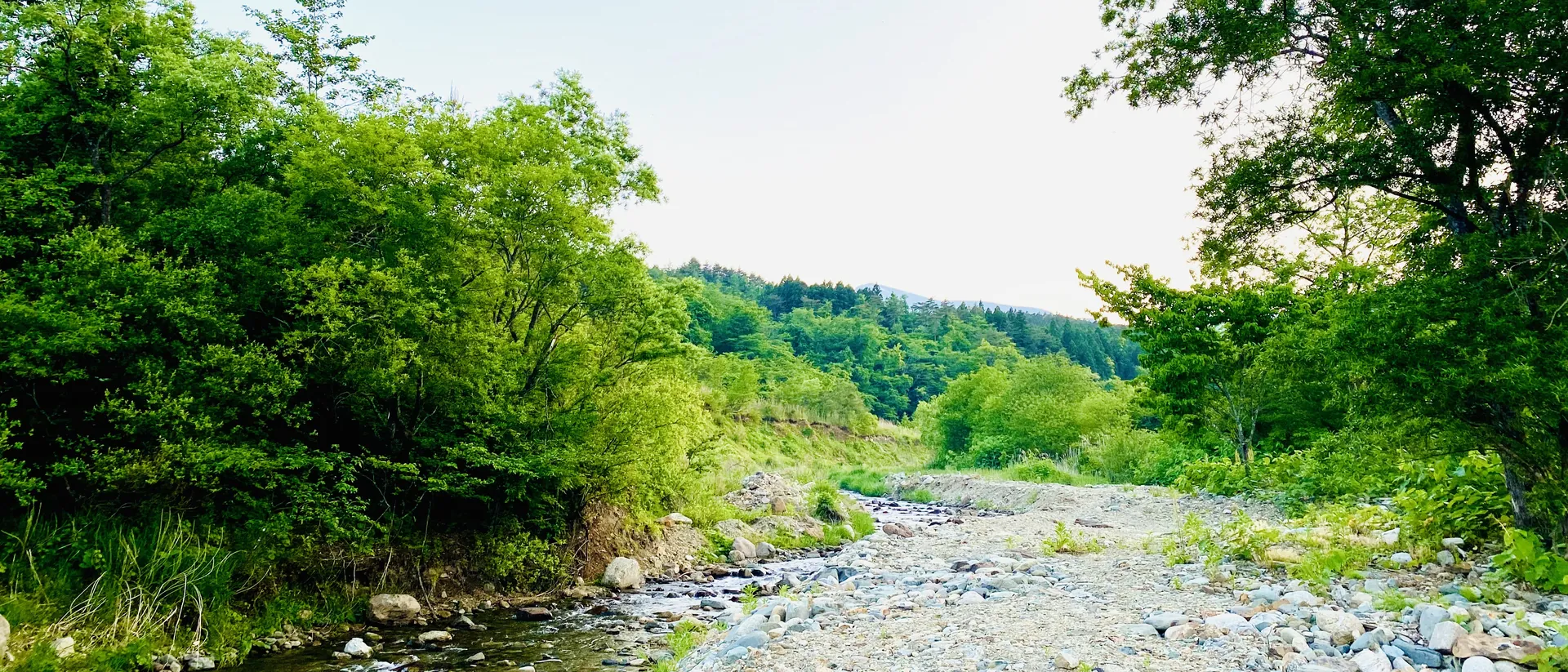 緑の木々に挟まれた、石の多い川原と遠くの山並み