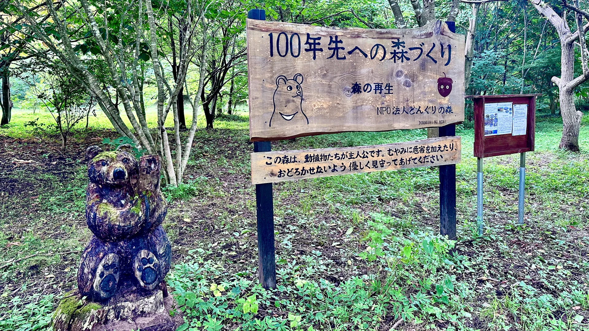緑の木々の中に立つ「100年先への森づくり」NPO法人どんぐりの森の木の看板と、木彫りのクマ