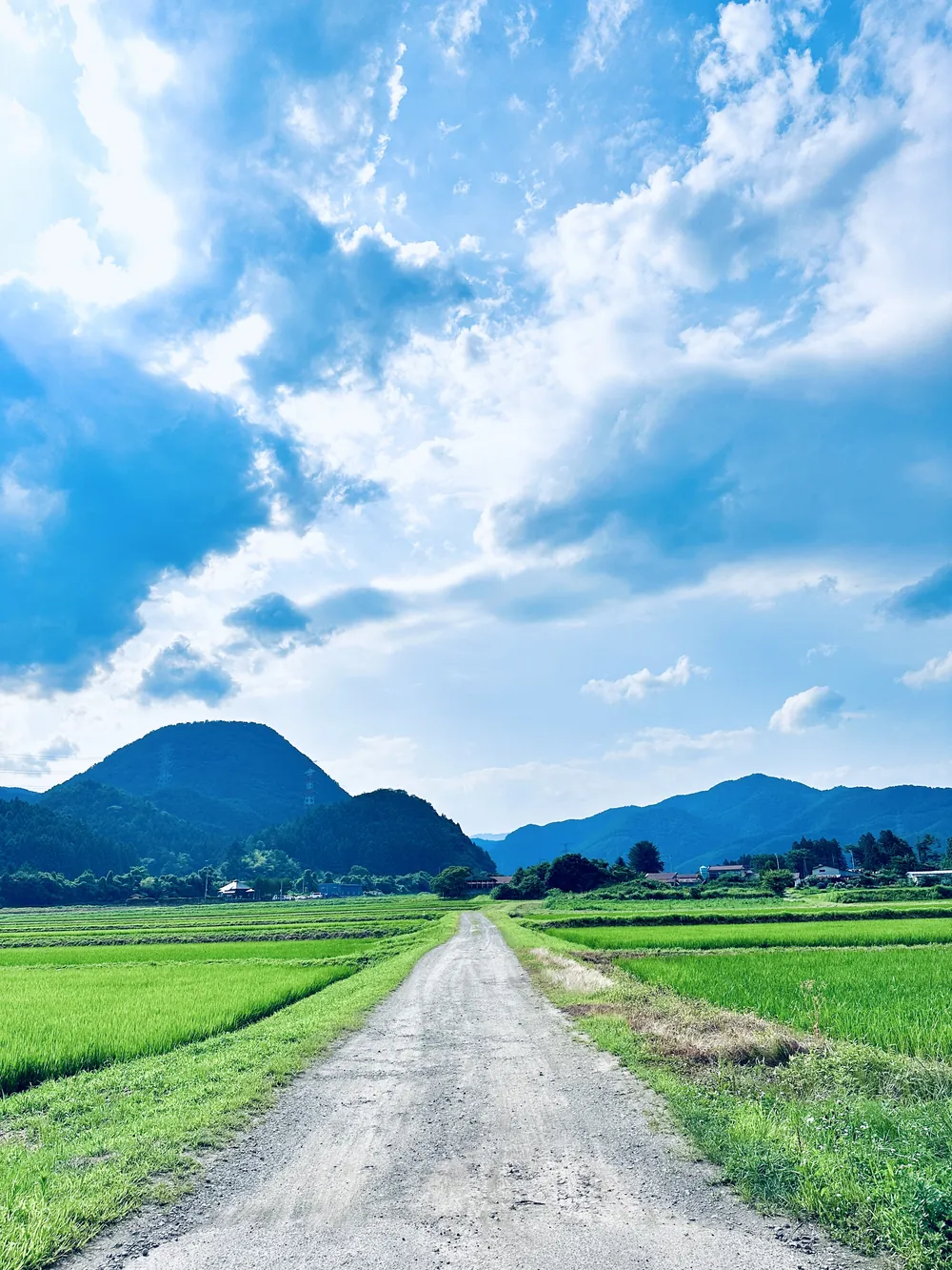 青空の下、田んぼと山並みへまっすぐのびる農道